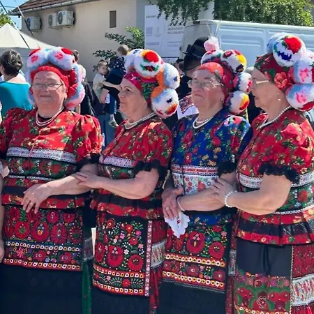 Jana Case de vacanță *